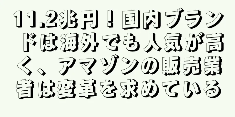 11.2兆円！国内ブランドは海外でも人気が高く、アマゾンの販売業者は変革を求めている