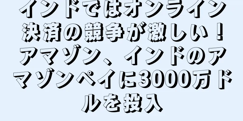 インドではオンライン決済の競争が激しい！アマゾン、インドのアマゾンペイに3000万ドルを投入