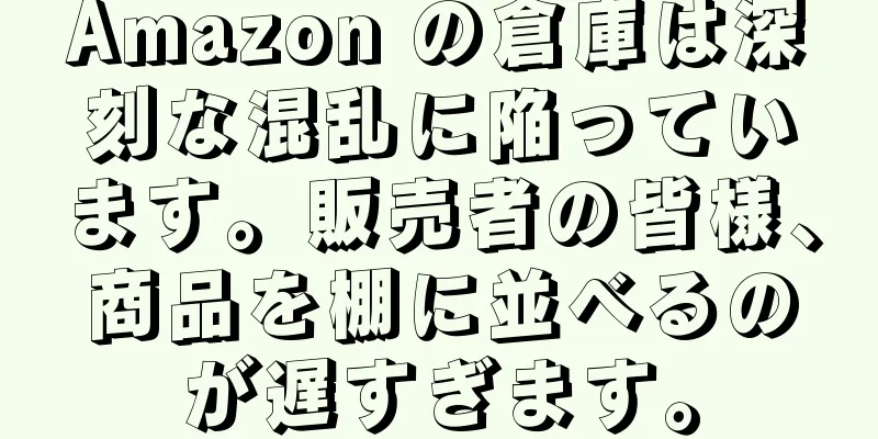 Amazon の倉庫は深刻な混乱に陥っています。販売者の皆様、商品を棚に並べるのが遅すぎます。