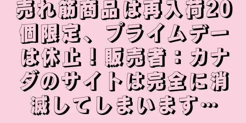 売れ筋商品は再入荷20個限定、プライムデーは休止！販売者：カナダのサイトは完全に消滅してしまいます…