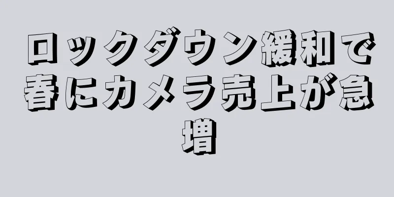ロックダウン緩和で春にカメラ売上が急増