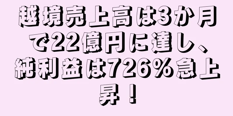 越境売上高は3か月で22億円に達し、純利益は726%急上昇！