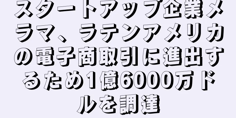 スタートアップ企業メラマ、ラテンアメリカの電子商取引に進出するため1億6000万ドルを調達