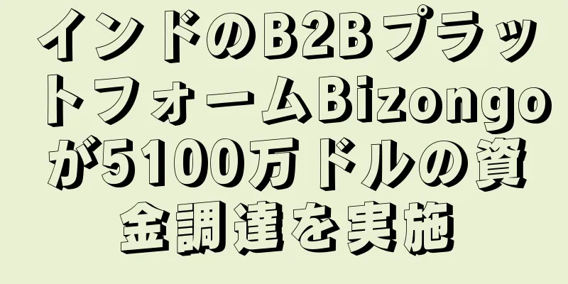 インドのB2BプラットフォームBizongoが5100万ドルの資金調達を実施
