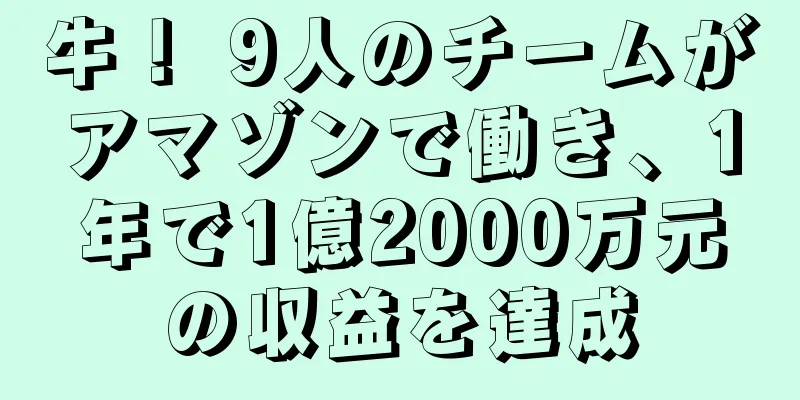 牛！ 9人のチームがアマゾンで働き、1年で1億2000万元の収益を達成