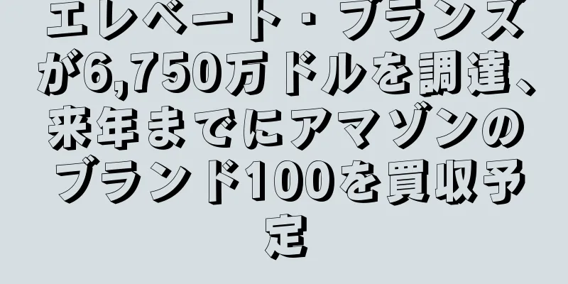 エレベート・ブランズが6,750万ドルを調達、来年までにアマゾンのブランド100を買収予定