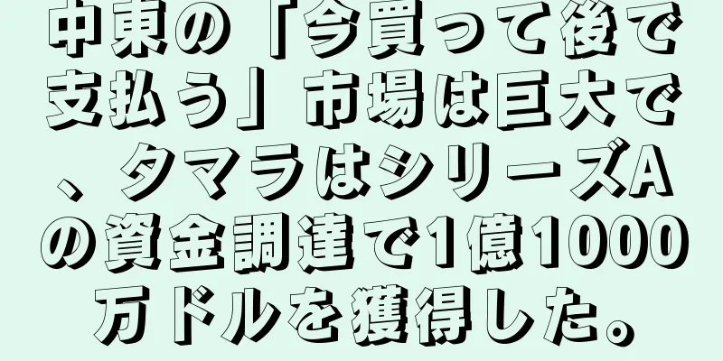 中東の「今買って後で支払う」市場は巨大で、タマラはシリーズAの資金調達で1億1000万ドルを獲得した。