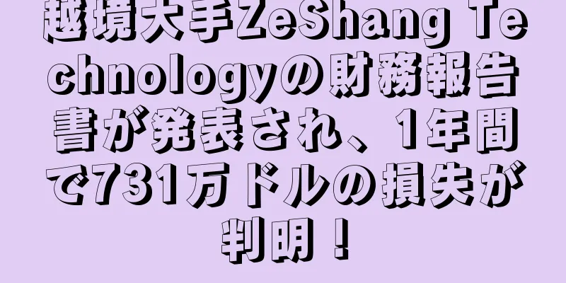 越境大手ZeShang Technologyの財務報告書が発表され、1年間で731万ドルの損失が判明！