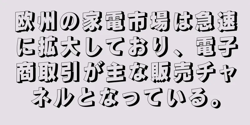 欧州の家電市場は急速に拡大しており、電子商取引が主な販売チャネルとなっている。