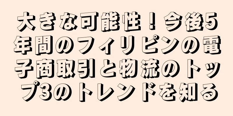 大きな可能性！今後5年間のフィリピンの電子商取引と物流のトップ3のトレンドを知る