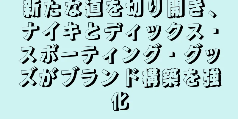 新たな道を切り開き、ナイキとディックス・スポーティング・グッズがブランド構築を強化