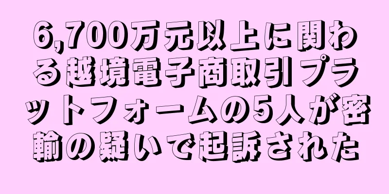 6,700万元以上に関わる越境電子商取引プラットフォームの5人が密輸の疑いで起訴された