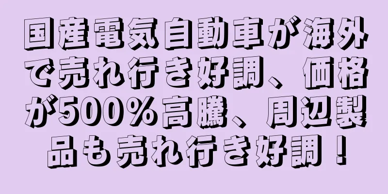 国産電気自動車が海外で売れ行き好調、価格が500％高騰、周辺製品も売れ行き好調！