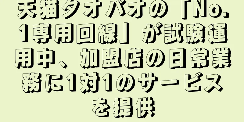 天猫タオバオの「No.1専用回線」が試験運用中、加盟店の日常業務に1対1のサービスを提供