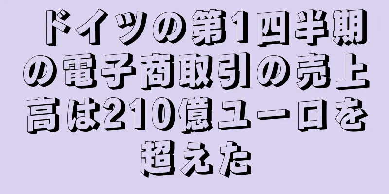 ドイツの第1四半期の電子商取引の売上高は210億ユーロを超えた