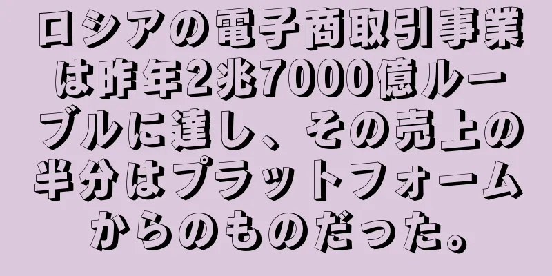 ロシアの電子商取引事業は昨年2兆7000億ルーブルに達し、その売上の半分はプラットフォームからのものだった。