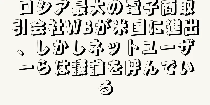 ロシア最大の電子商取引会社WBが米国に進出、しかしネットユーザーらは議論を呼んでいる