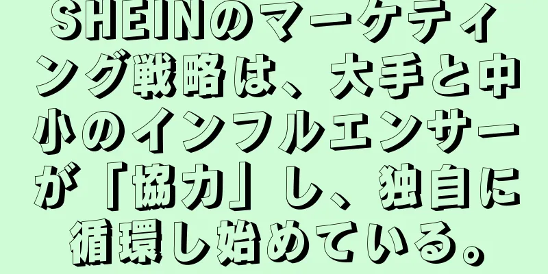 SHEINのマーケティング戦略は、大手と中小のインフルエンサーが「協力」し、独自に循環し始めている。