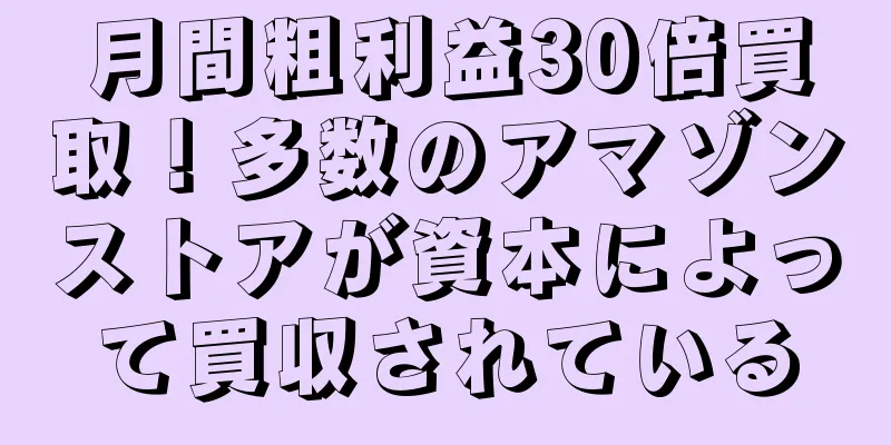 月間粗利益30倍買取！多数のアマゾンストアが資本によって買収されている