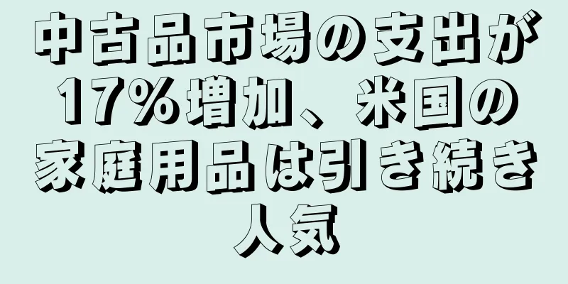 中古品市場の支出が17％増加、米国の家庭用品は引き続き人気