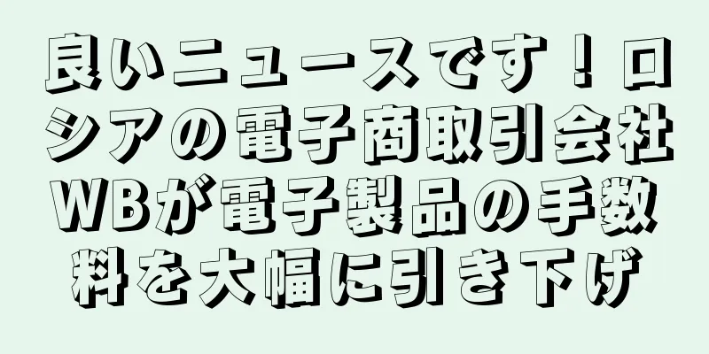 良いニュースです！ロシアの電子商取引会社WBが電子製品の手数料を大幅に引き下げ