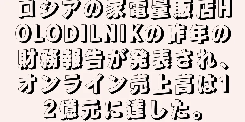 ロシアの家電量販店HOLODILNIKの昨年の財務報告が発表され、オンライン売上高は12億元に達した。