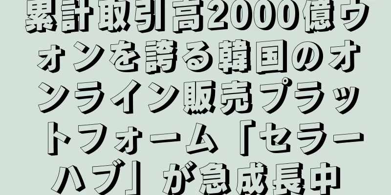 累計取引高2000億ウォンを誇る韓国のオンライン販売プラットフォーム「セラーハブ」が急成長中