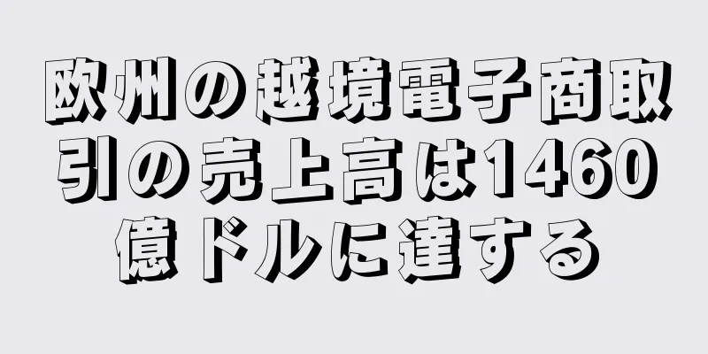 欧州の越境電子商取引の売上高は1460億ドルに達する