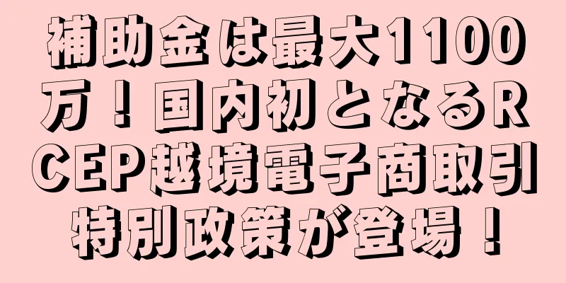 補助金は最大1100万！国内初となるRCEP越境電子商取引特別政策が登場！