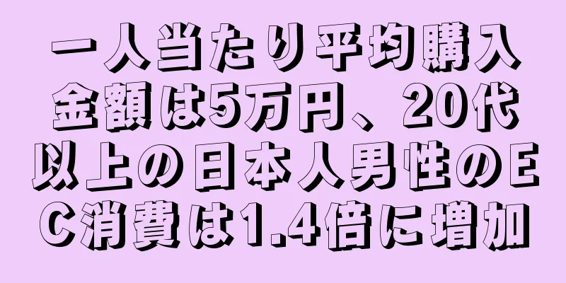 一人当たり平均購入金額は5万円、20代以上の日本人男性のEC消費は1.4倍に増加