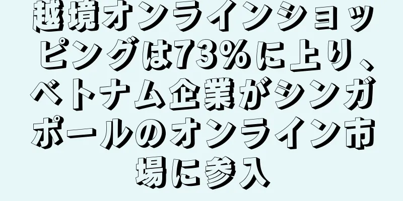 越境オンラインショッピングは73%に上り、ベトナム企業がシンガポールのオンライン市場に参入