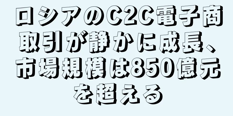 ロシアのC2C電子商取引が静かに成長、市場規模は850億元を超える