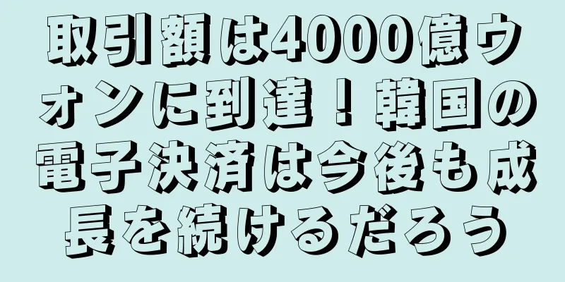 取引額は4000億ウォンに到達！韓国の電子決済は今後も成長を続けるだろう
