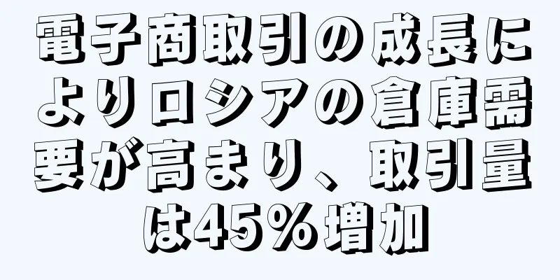 電子商取引の成長によりロシアの倉庫需要が高まり、取引量は45%増加