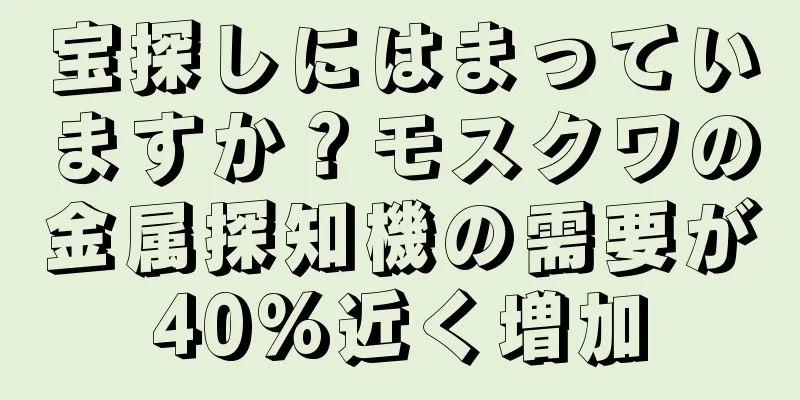 宝探しにはまっていますか？モスクワの金属探知機の需要が40%近く増加