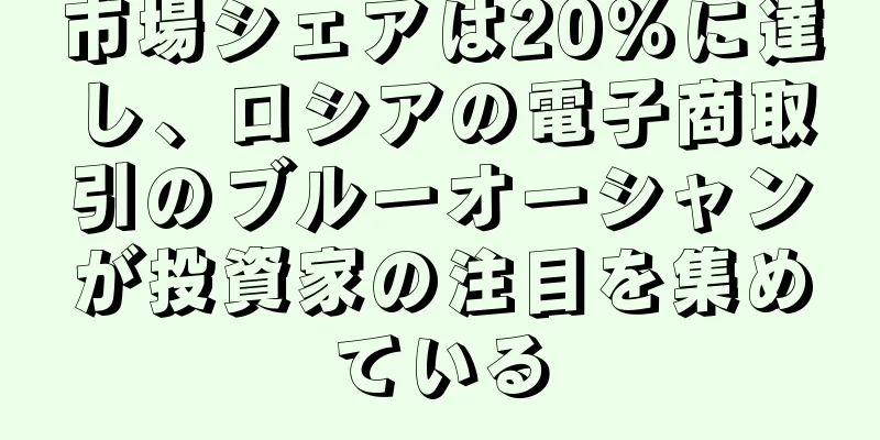 市場シェアは20％に達し、ロシアの電子商取引のブルーオーシャンが投資家の注目を集めている