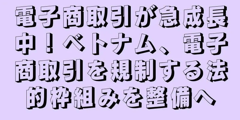 電子商取引が急成長中！ベトナム、電子商取引を規制する法的枠組みを整備へ