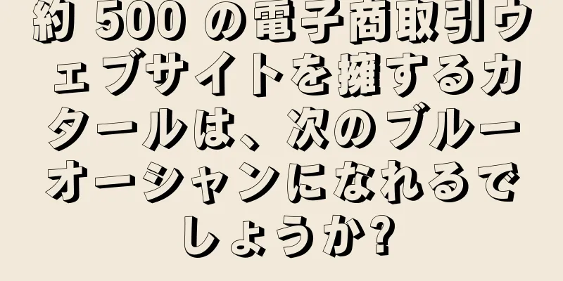 約 500 の電子商取引ウェブサイトを擁するカタールは、次のブルーオーシャンになれるでしょうか?