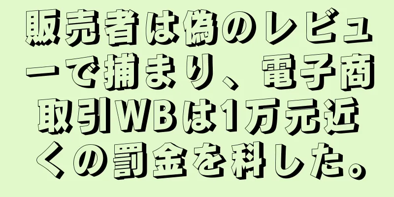 販売者は偽のレビューで捕まり、電子商取引WBは1万元近くの罰金を科した。