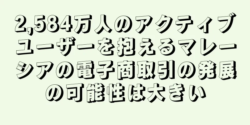 2,584万人のアクティブユーザーを抱えるマレーシアの電子商取引の発展の可能性は大きい