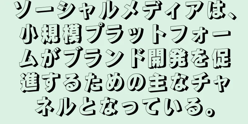 ソーシャルメディアは、小規模プラットフォームがブランド開発を促進するための主なチャネルとなっている。