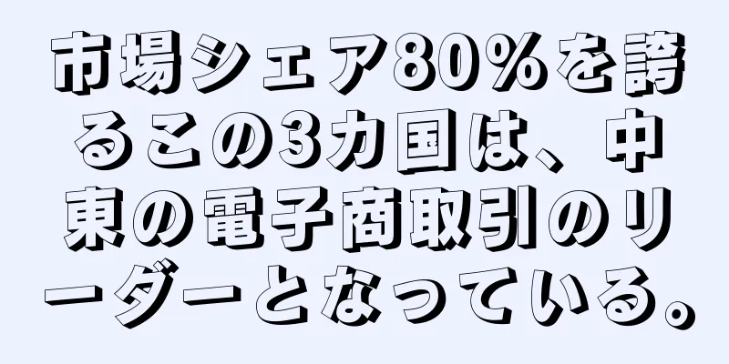 市場シェア80%を誇るこの3カ国は、中東の電子商取引のリーダーとなっている。