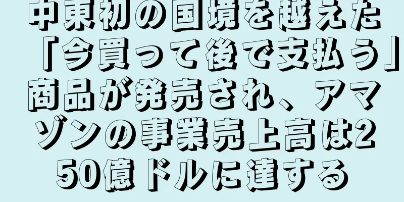 中東初の国境を越えた「今買って後で支払う」商品が発売され、アマゾンの事業売上高は250億ドルに達する