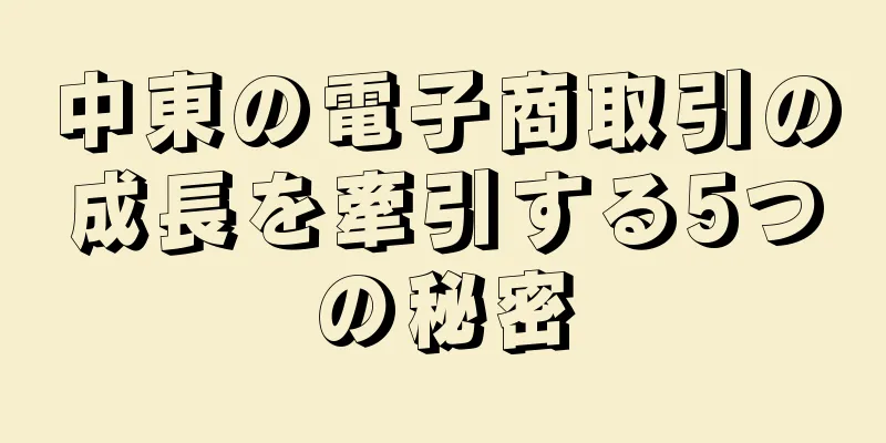 中東の電子商取引の成長を牽引する5つの秘密
