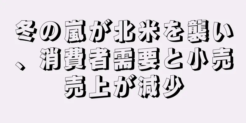冬の嵐が北米を襲い、消費者需要と小売売上が減少