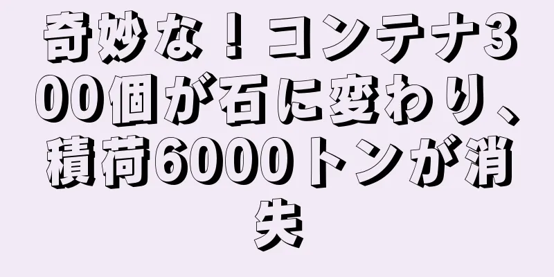 奇妙な！コンテナ300個が石に変わり、積荷6000トンが消失