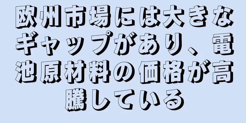 欧州市場には大きなギャップがあり、電池原材料の価格が高騰している