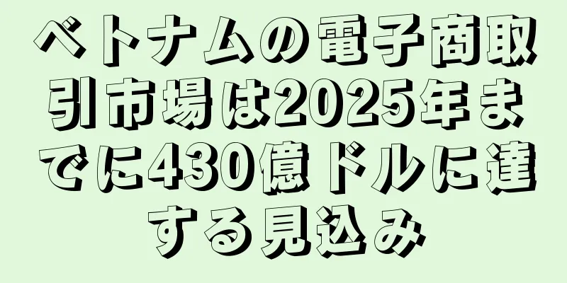 ベトナムの電子商取引市場は2025年までに430億ドルに達する見込み