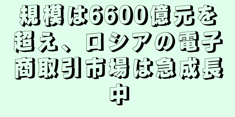 規模は6600億元を超え、ロシアの電子商取引市場は急成長中
