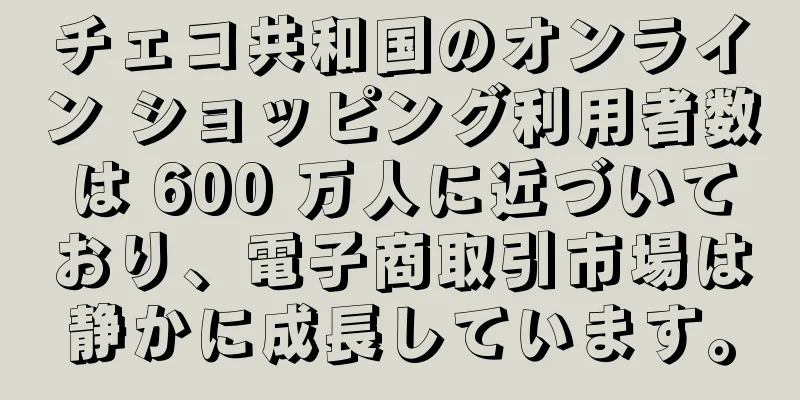 チェコ共和国のオンライン ショッピング利用者数は 600 万人に近づいており、電子商取引市場は静かに成長しています。